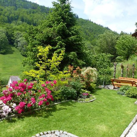 Apartament Haus Zur Eule Todtnau Zewnętrze zdjęcie