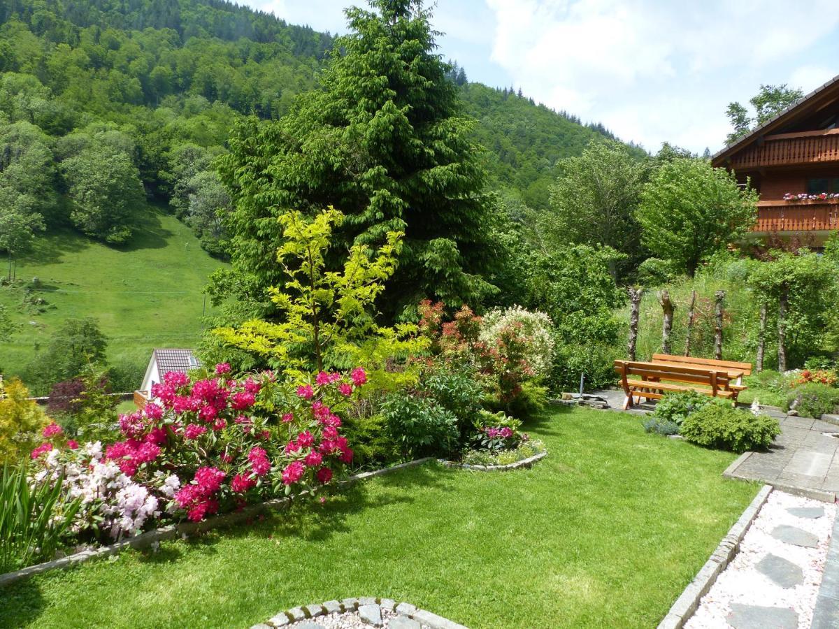Apartament Haus Zur Eule Todtnau Zewnętrze zdjęcie