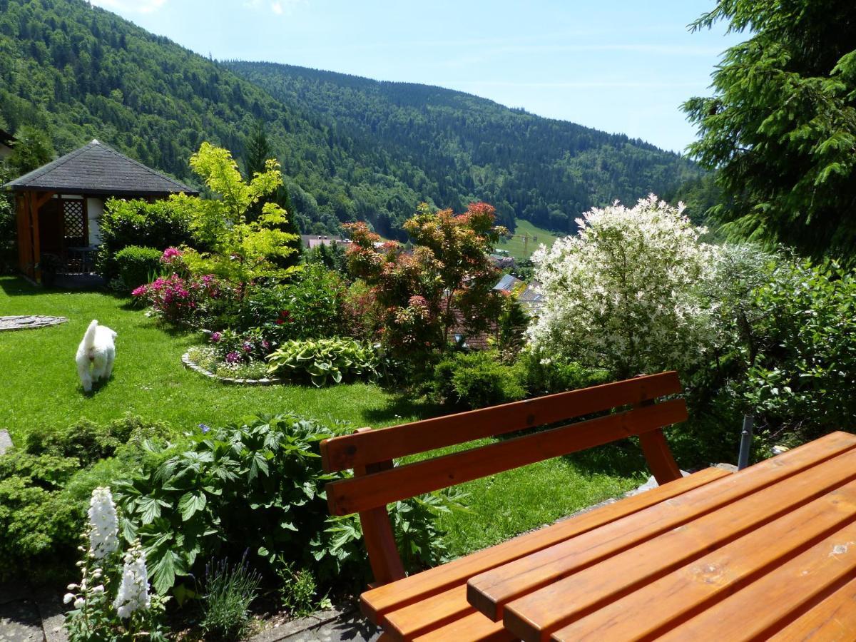 Apartament Haus Zur Eule Todtnau Zewnętrze zdjęcie