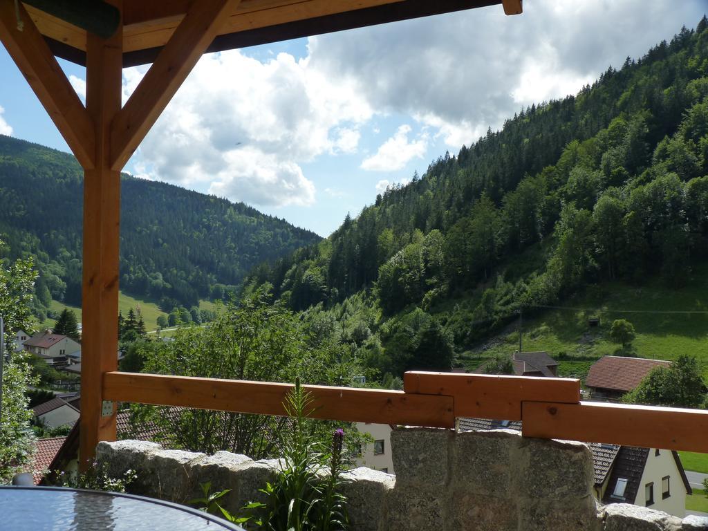 Apartament Haus Zur Eule Todtnau Pokój zdjęcie